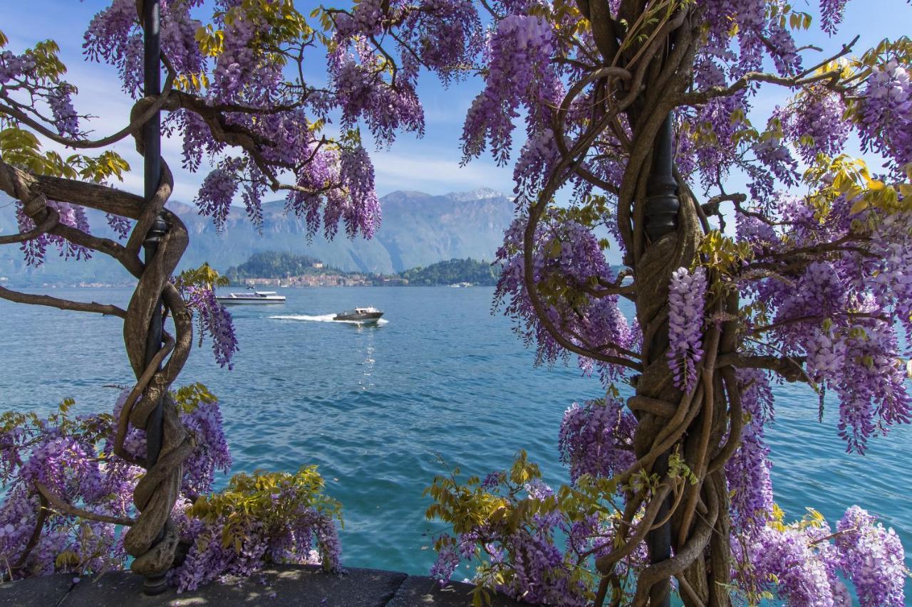 Bellavista Del Lago Menaggio Eksteriør bilde